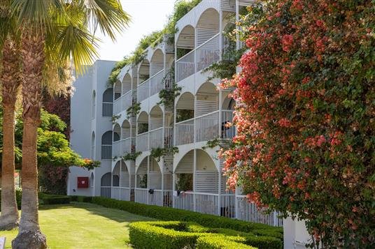 The Desert Rose Hotel